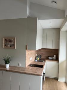 Apartamentai Muziejaus g.