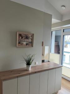 Apartamentai Muziejaus g.