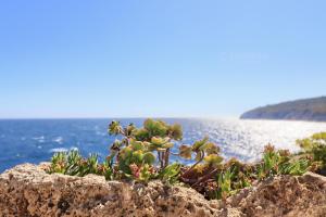 Dimora degli Artisti - Ciolo private sea access by LoveSud