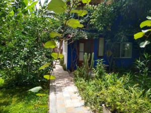 Nido, Los Colibríes VI