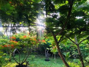 The Dream Garden Bungalow