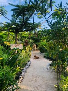 The Dream Garden Bungalow