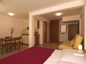 Studio apartment in Brela with a sea view, terrace, air conditioning, WiFi 201-3