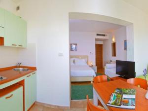 Studio apartment in Brela with a sea view, terrace, air conditioning, WiFi 201-9