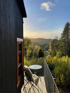 Mikrohyttene Moen Ranch