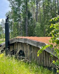Mikrohyttene Moen Ranch