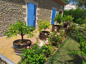 Maisons de vacances Maison 6 personnes avec piscine terrain arbore cloture : photos des chambres