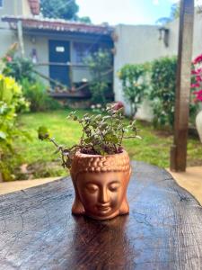 Hospedagem Junco Noronha