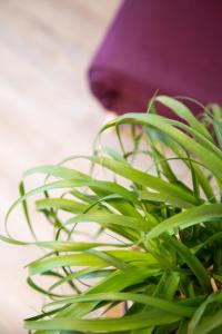 Le Chic & Familial, 2 Chambres, Idéal Familles & Pros