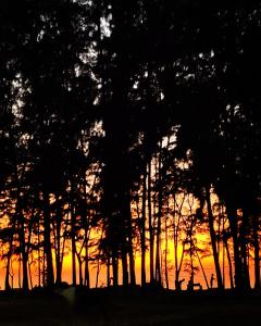 Kamat Cottages