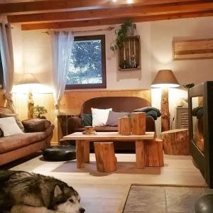 Chalets Lodge bien etre et nature : photos des chambres