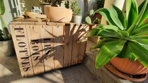 Les Bois Flottés . Plage de la Verne