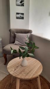 Les Bois Flottés . Plage de la Verne