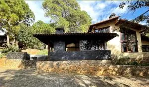 DNellys/Pinguica 1 - 马萨米特拉