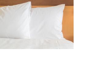 Holiday Inn Express and Suites Tampa I-75 at Bruce B. Downs by IHG