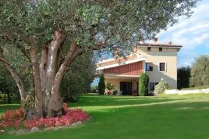 AGRITURISMO MELOGRANO D'ORO - آفي