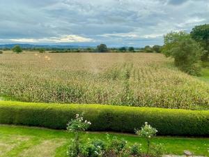 Golborne Manor Bed and Breakfast