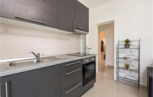 1 Bedroom Lovely Apartment In Vlasici