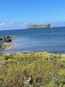 Appartements Appartement tout confort 2-4 pers 500 m de la plage avec piscine et wifi : photos des chambres