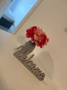 Q Home Apartment - Palas Center