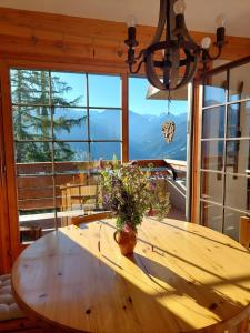 Our little marmots' dream