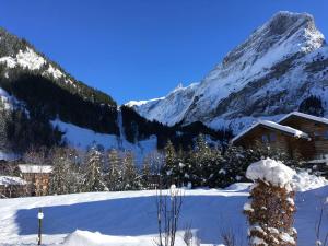 Chalet avec terrasse et parking privé, proche téléphérique - FR-1-464-29