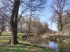 B&B / Chambres d'hotes Par les Pres et les Bois de Sologne : photos des chambres