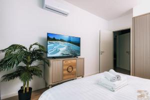 DAVIDS RENTAL APARTMENTs