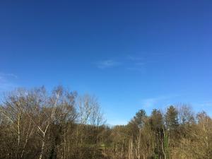 Les Cerises, charmante maison au calme