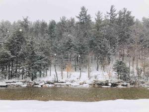 Attitash Mountain Village Studio - Slope View - Ski - Storyland