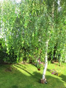 Fantasy Apartments Saint Constantine and Helena Resort