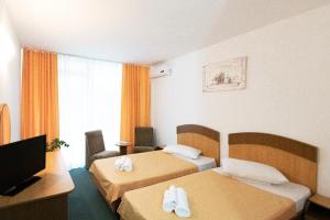 Hotel Siret Saturn