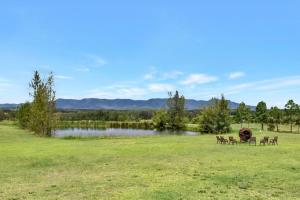 Silver Springs Estate Family & Group Hunter Valley Retreat