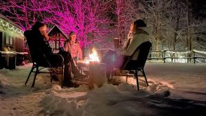 Harz hotel Iris