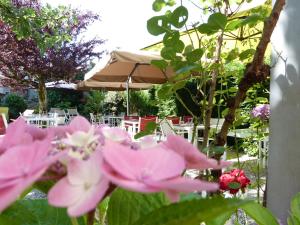 Hotels Hotel Gallia : photos des chambres