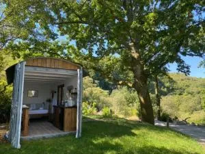 Trethowels Grey Hidden hut - Bugle