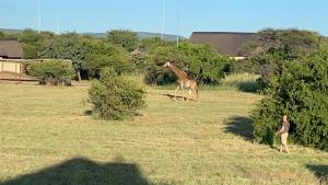 Luna Crescente 19 and 19A Zebula golf and spa resort 14 Pax Bela Bela Limpopo