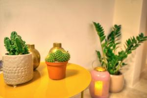 Stylish & traditional 1 bedroom apartment DDEM1-1