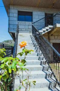 Casa Ourense Guxinde