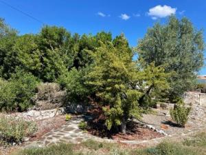 Maisons de vacances Holiday Home in Pouzols-Minervois with Private Outdoor Pool : photos des chambres