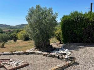 Maisons de vacances Holiday Home in Pouzols-Minervois with Private Outdoor Pool : photos des chambres