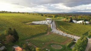 Vinárstvo Predium Vráble