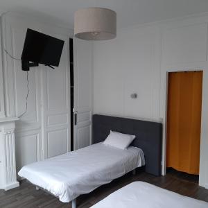 Hotels Hotel Les Beaux Arts- Limoges Hypercentre : photos des chambres