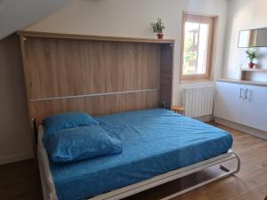 Appartements Nid douillet proche des pistes avec vue montagne : Appartement 1 Chambre