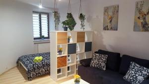 Apartament Granatowy Świętoduska 12