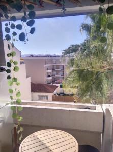 Résidence Graziella Studio 508