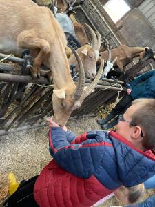 Tentes de luxe Kota a la ferme : photos des chambres