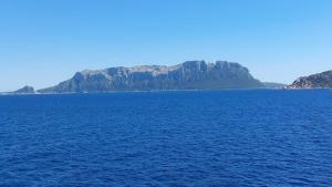 MYRTUS TAVOLARA - Sea View Apartment img8