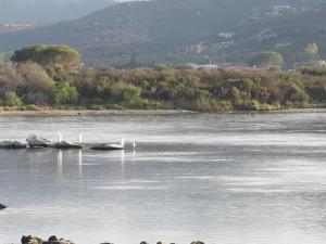 MYRTUS TAVOLARA - Sea View Apartment img29