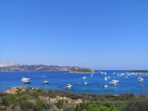 MYRTUS TAVOLARA - Sea View Apartment img33